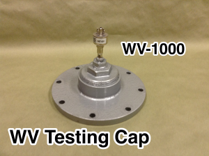 TMS WV Vacuum Booster Test Cap